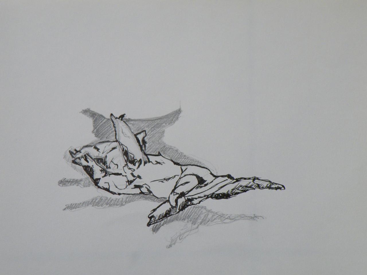dscf2319.jpg